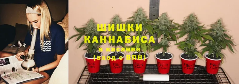 Каннабис Ganja  Старый Оскол 